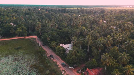 over-view-of-the-sun-shining-at-coconut-trees---Sunset-in-Tissamaharama---Yala-National-Park