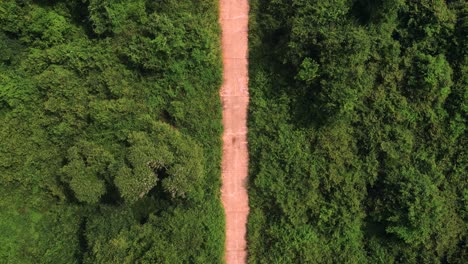 aerial-view-of-s-tuk-tuk-passing-through-a-dirt-road-in-the-middle-of-a-forest---Ella,-Sri-Lanka