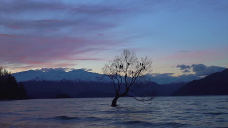 Colorful-sunset-above-with-snow-covered-mountains-at-Wanaka-lake
