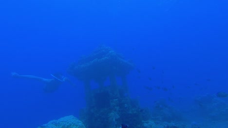 Snorkeler-Swimming-Around-Old-Shrine-Placed-Undersea,-Bali,-Indonesia