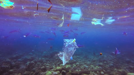 Underwater-Shot-Of-Trash-Pollution-In-Sea-Life,-Bali,-Indonesia