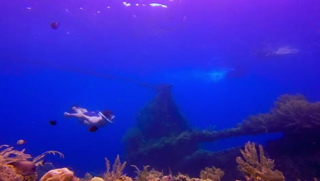 Snorkeler-Diving-Near-Colorful-Unique-Fish-In-Blue-Water-Sea,-Bali,-Indonesia