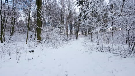 Waldlandschaft-Unter-Starkem-Schneefall-Im-Winter.-Pov