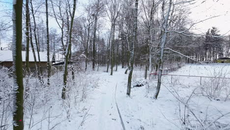 Fliegen-Durch-Eine-Schneelandschaft-Mit-Kahlen-Bäumen-Und-Ländlichen-Häusern-Im-Winter