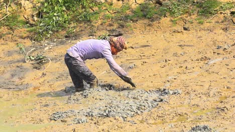Local-Fisherman-Standing-In-Knee-Deep-In-Mud-Digging-And-Searching-For-Fish-In-Bangladesh