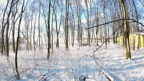 Verschneiter-Park-Mit-Bäumen-An-Einem-Sonnigen-Wintertag