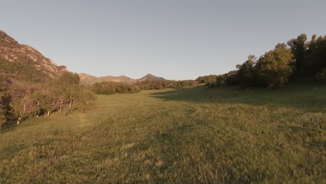 Fast-aerial-FPV-shot-flying-through-trees-and-over-a-trail-through-a-grassy-field-in-a-hilly-valley-during-the-golden-hour-near-Provo-Utah