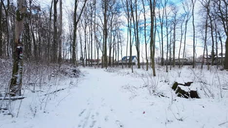 Aerial-Low-Flying-Along-Snow-Covered-Path-Through-Woodland-With-Bare-Trees