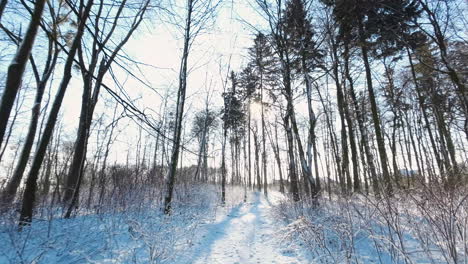 Ein-Wunderschöner-Wintermorgen-Im-Park-Mit-Sonneneruptionen,-Die-Zwischen-Verschneiten-Bäumen-Vorbeiziehen