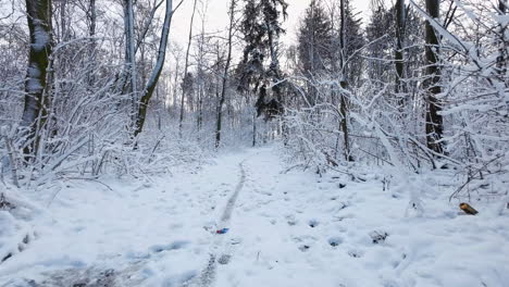 Aerial-Low-Flying-Along-Snow-Covered-Path-Through-Woodland-With-Single-Tyre-Track
