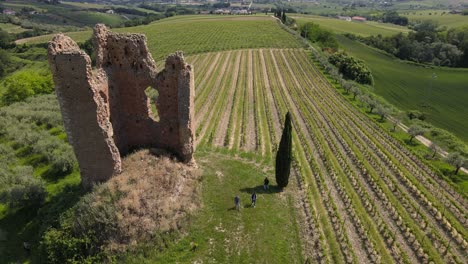 Wide-angle-drone-shot-panning-downwards-of-workers-walking-in-a-vineyard-with-an-ancient-castle-on-the-property-located-in-the-countryside-of-Abruzzo-in-Italy