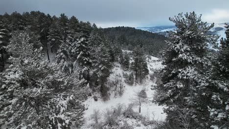 Paraíso-Paisaje-Invernal-Con-Pinos-Cubiertos-De-Nieve-En-Las-Montañas-En-Un-Día-Brumoso