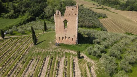Wide-angle-drone-shot-panning-downwards-revealing-a-vineyard-with-an-ancient-castle-located-on-the-property-surrounded-by-mountains-in-the-distance-shot-in-the-countryside-of-Abruzzo-in-Italy