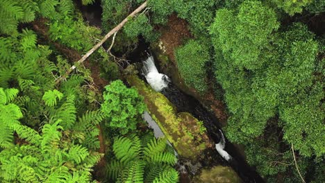Aerial-Topdown-Of-Parque-das-Frechas,-Agualva-On-Terceira-Island-In-The-Azores,-Portugal