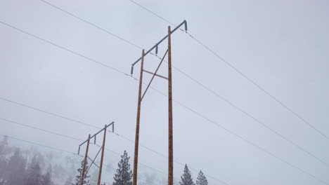 Snowflakes-come-close-to-the-camera-lens-and-are-clearly-visible-as-it-snows-in-front-of-large-wooden-power-lines