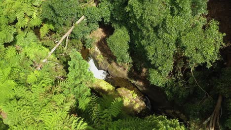 Draufsicht-Auf-Einen-Wasserfall-Im-Naturpark-In-Agualva,-Wanderweg-Parque-Das-Frechas-In-Agualva,-Acores,-Portugal