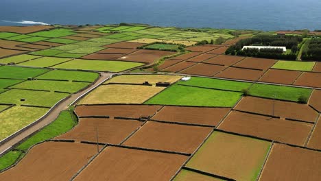 Panorama-Der-Kultivierten-Ackerflächen-Auf-Der-Insel-Terceira,-Azoren,-Portugal