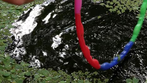 Female-hand-adjusts-floating-fish-feeding-ring-in-a-small-pond-with-water-plants