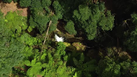 Bajando-Sobre-Las-Cascadas-En-El-Bosque-En-El-Parque-Das-Frechas-En-Agualva-En-La-Isla-Terceira,-Azores-Portugal