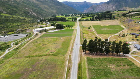 Vista-Aérea-De-Viñedos-Y-Automóviles-Conduciendo-En-La-Carretera-Del-Valle-De-Gibbston-En-El-Centro-De-Otago,-Nueva-Zelanda