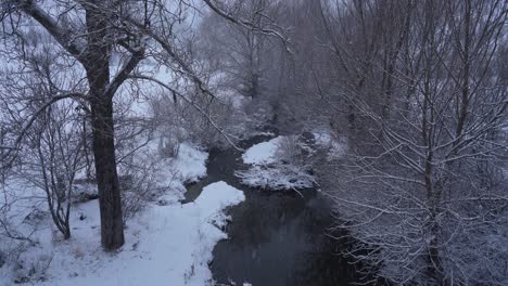 Winter-landscape-with-snow-flakes-falling-on-trees-and-river-with-cold-water