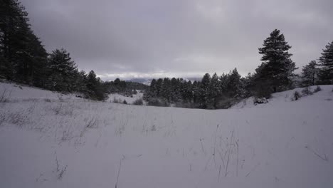 Tierra-Congelada-Cubierta-De-Nieve-Blanca-En-Altas-Montañas-Con-Bosque-En-Un-Día-De-Invierno