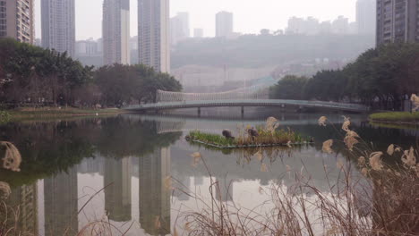 Chongqing-Tiandi-Park-Unter-Der-Sonne