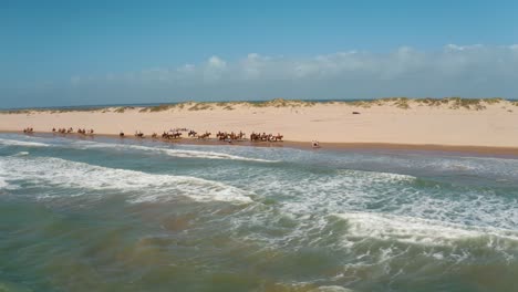 Riding-horses-on-the-ocean-shore,-aerial-pan-left-and-orbiting-large-group-of-equestrians-on-beach-in-South-Padre-Island,-Texas-with-4k-drone
