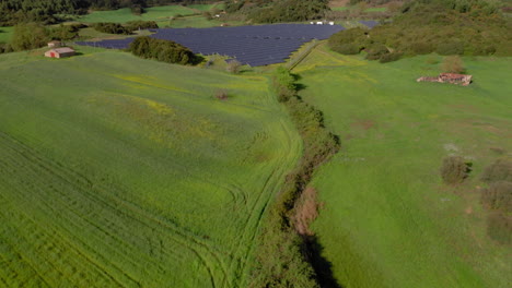 Done-reveal-shot-of-solar-farm-field-in-green-grassy-field