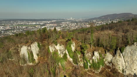 Drone-panning-shot-of-the-high-pine-trees-on-the-steep-Jura-Rocks-with-the-Swiss-city-Basel-in-the-background-on-a-sunny-autumn-day