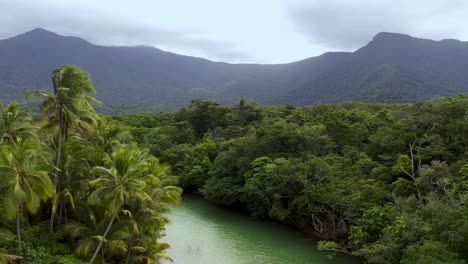 Daintree-Rainforest-rising-aerial-of-river,-lush-forest-and-mountains,-Queensland,-Australia