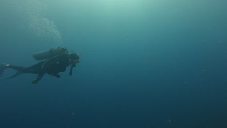 Man-diving-alone-across-inmensity-of-ocean-in-Mexican-Caribbean