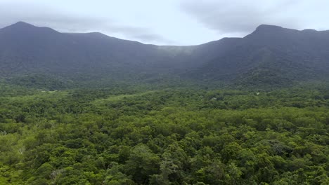 Daintree-Rainforest-drone-aerial-with-view-of-tree-canopy-and-mountains,-Queensland,-Australia