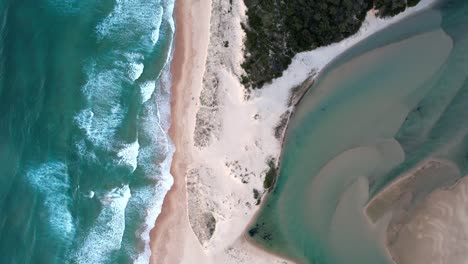 Top-down-waves-crashing-on-white-sand-beach-with-sandbar-and-forest