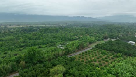 A-drone-footage-of-fields-with-green-dense-trees-against-the-cloudy-sky-in-Northern-Thailand