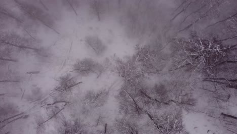 Drone-flies-over-foggy-snowy-forest