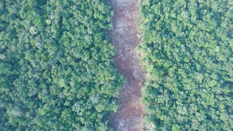 Aerial-view-from-south-to-north,-over-deforestation-on-the-line-of-"Tren-Maya"-train-project,-in-Quintana-Roo-state,-Mexico,-at-ten-kilometres-of-"Felipe-Carrillo-Puerto