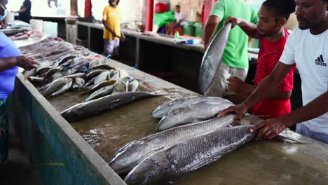 Mahe-Seychelles-men-arranging-job-fishes-inside-town-market