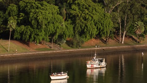 Blick-Auf-Den-Fluss-Und-Die-Botanischen-Gärten-Vom-Kangaroo-Point,-Brisbane,-Australien