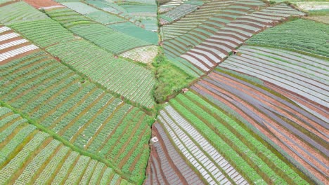 Aerial-smooth-shot-of-rice-terraces-cropland-in-Southeast-Asia