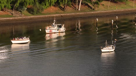 Vista-De-Los-Barcos-Fluviales-Y-Los-Jardines-Botánicos-Desde-Kangaroo-Point,-Brisbane,-Australia