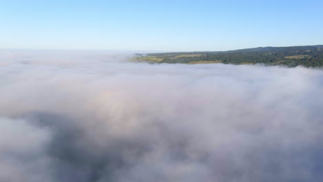 Aerial-view-flying-over-fog-rolling-across-Santa-Cruz-lush-coastal-landscape