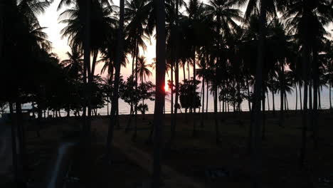Sonnenuntergang-Goldene-Stunde-Am-Strand-Bunte-Rote-Und-Blaue-Silhouette-Von-Palmen-In-Asien-Mit-Drohne