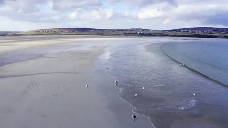 Drone-shot-of-flocks-of-bird-life-and-sea-birds-at-Gress-beach-at-low-tide-on-the-Outer-Hebrides-of-Scotland