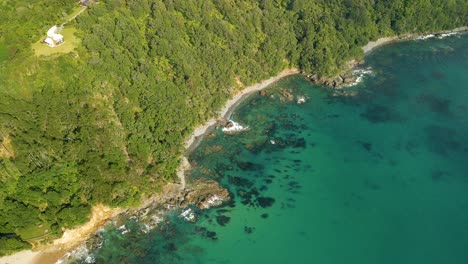 Luftaufnahme-Von-Bewaldeten-Klippen-Auf-Einer-Einsamen-Insel-In-Der-Nähe-Der-Coromandel-Halbinsel
