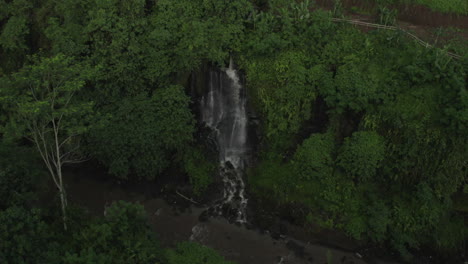 Reveal-aerial-drone-view-of-secret-waterfall-hidden-between-palm-trees-in-the-jungle-near-Ubud-in-Bali,-Indonesia