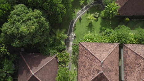 Drone-top-down-view-of-a-luxury-resort-with-villas-and-palm-trees-in-Bali