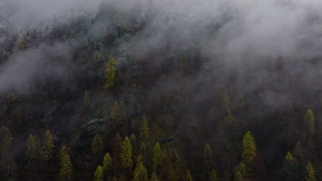 Entspannendes-Drohnenvideo-In-Den-Schweizer-Alpen-An-Einem-Bewölkten,-Grauen-Winternachmittag-Mit-üppigen-Grünen-Kiefernwäldern-Und-Wunderschönen-Schneebedeckten-Bäumen-Auf-Alpenbergen,-Die-Seitwärts-Nach-Oben-Fliegen-Und-Sich-Drehen