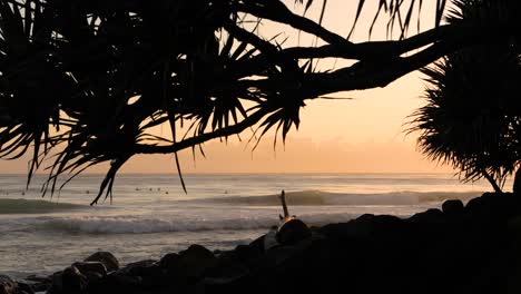 Sunrise-surfing-at-Burleigh-Heads,-Gold-Coast,-Australia