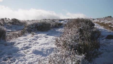 Un-Camino-De-Invierno-Nevado-Y-Congelado-Mientras-Dos-Excursionistas-Pasan-Por-Delante-De-La-Cámara-De-ángulo-Bajo,-Se-Acercan-A-Los-Pies